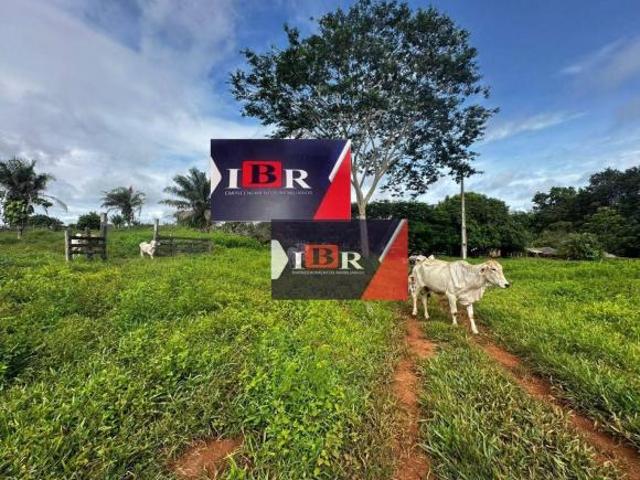 Sítio e chácara venda em Região Geográfica Imediata de Cuiabá, Nobres