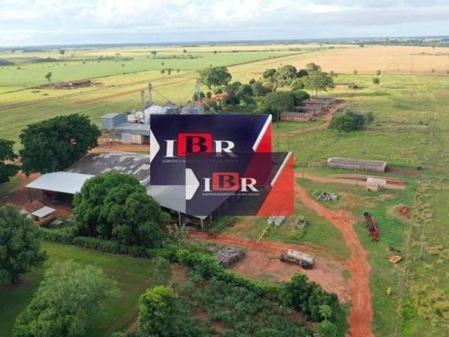 Sítio e chácara venda em Nova Andradina, Mato Grosso do Sul