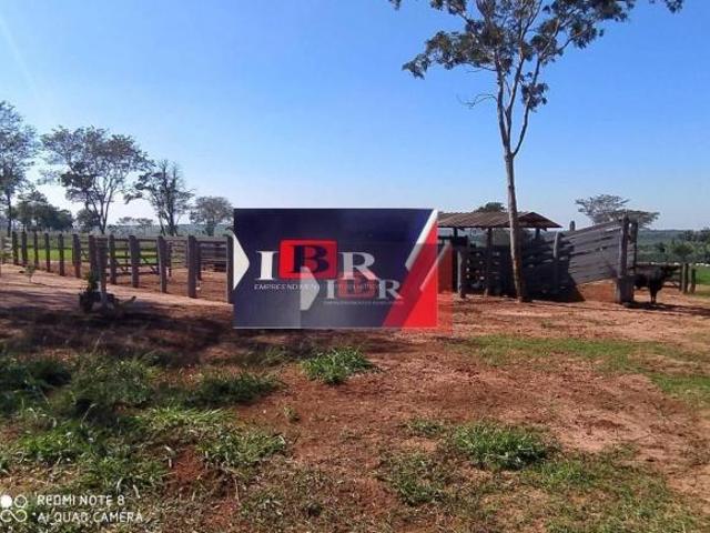 Sítio e chácara venda em Nova Andradina, Mato Grosso do Sul