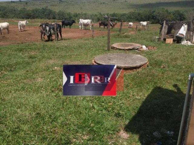 Sítio e chácara venda em Nova Andradina, Mato Grosso do Sul