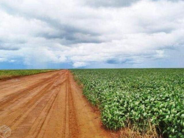 Sítio e chácara venda em Região Geográfica Imediata de Sorriso, Nova Ubiratã