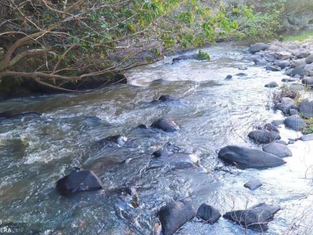 Sítio e chácara venda em Região Geográfica Imediata de Teófilo Otoni, Novo Cruzeiro