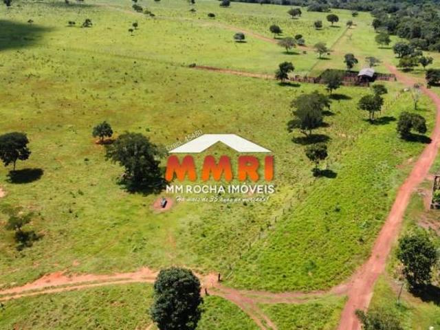 Sítio e chácara venda em Região Geográfica Imediata de Barra do Garças, Novo São Joaquim