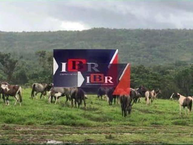 Sítio e chácara venda em Região Geográfica Imediata de Barra do Garças, Novo São Joaquim