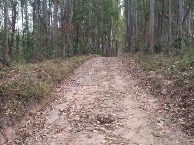 Sítio e chácara venda em Região Geográfica Imediata de Oliveira, Oliveira
