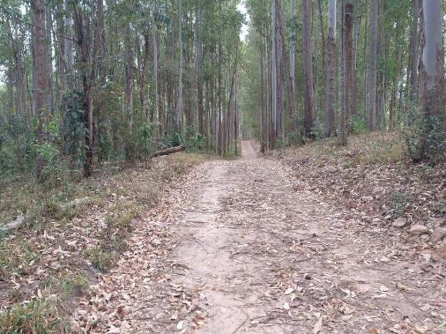 Sítio e chácara venda em Região Geográfica Imediata de Oliveira, Oliveira