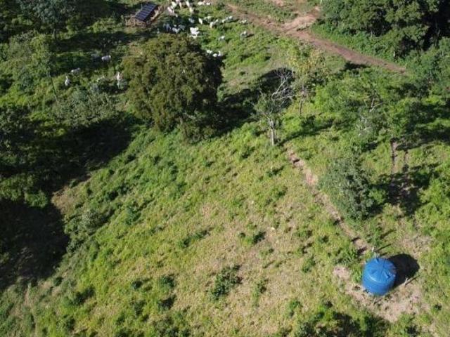 Sítio e chácara venda em Região Geográfica Imediata de Águas Lindas de Goiás, Região Integrada de Desenvolvimento do Distrito Federal e Entorno