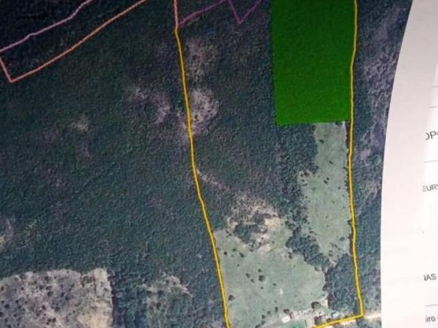 Sítio e chácara venda em Região Geográfica Imediata de Pará de Minas, Pará de Minas