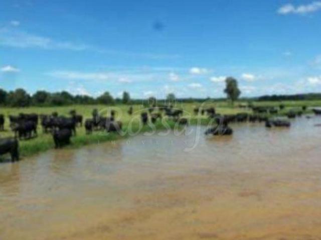 Terreno venda em Região Geográfica Imediata de Nova Prata - Guaporé, União da Serra