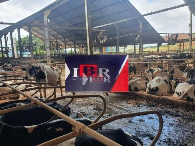 Sítio e chácara venda em Região Imediata de Avaré, Paranapanema