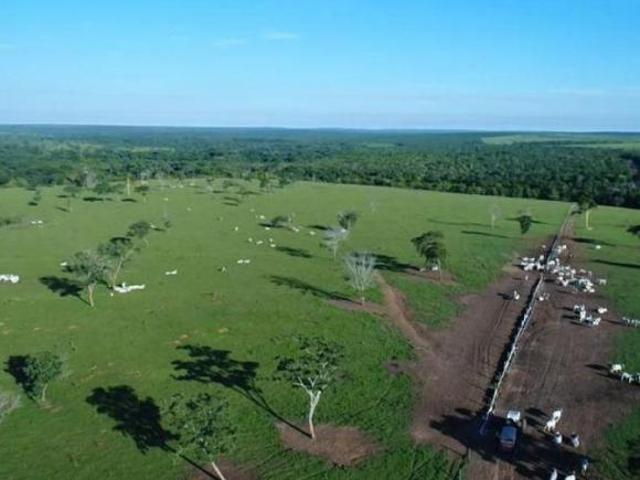 Sítio e chácara venda em Região Geográfica Imediata de Primavera do Leste, Paranatinga