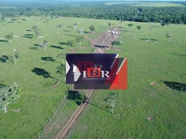 Sítio e chácara venda em Região Geográfica Imediata de Primavera do Leste, Paranatinga
