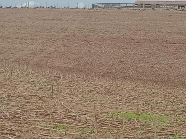 Sítio e chácara venda em Região Imediata de Botucatu, Pardinho