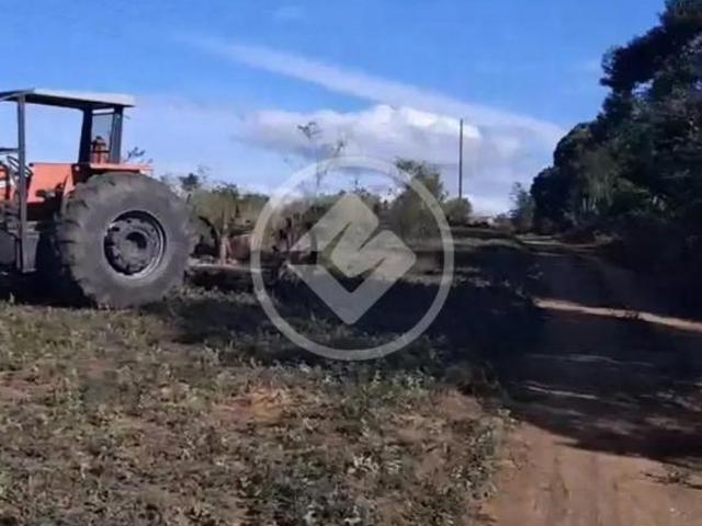 Sítio e chácara venda em Pedra Azul, Região Sudeste