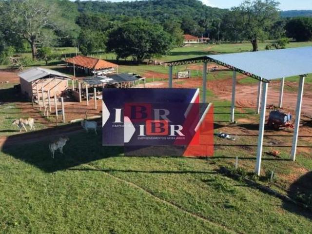 Sítio e chácara venda em Região Geográfica Imediata de Coxim, Pedro Gomes