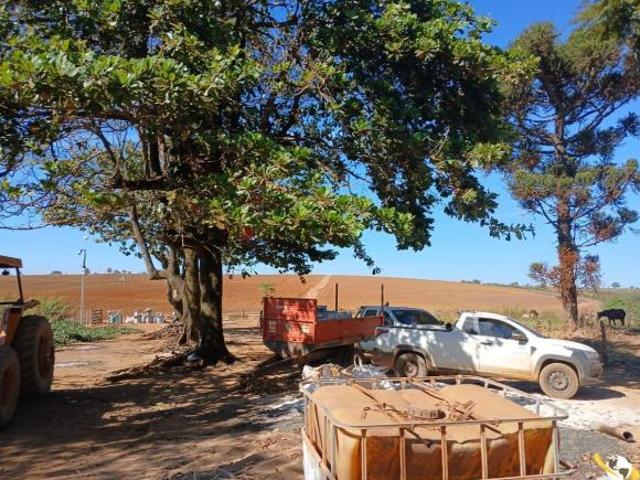 Sítio e chácara venda em Perdizes, Região Geográfica Intermediária de Uberaba