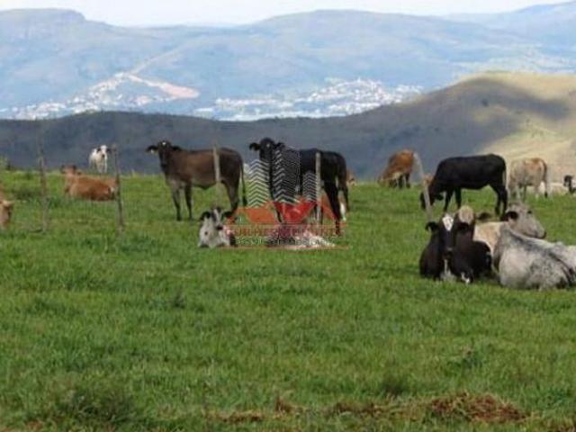 Sítio e chácara venda em Região Geográfica Imediata de Formiga, Pimenta