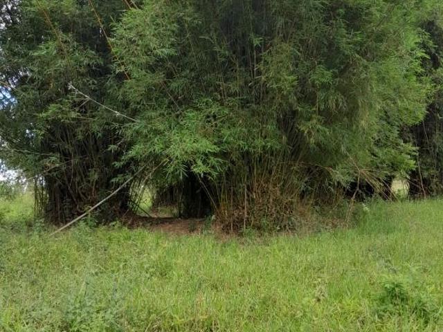 Fazenda venda em Redenção da Serra, Região Geográfica Intermediária de São José dos Campos