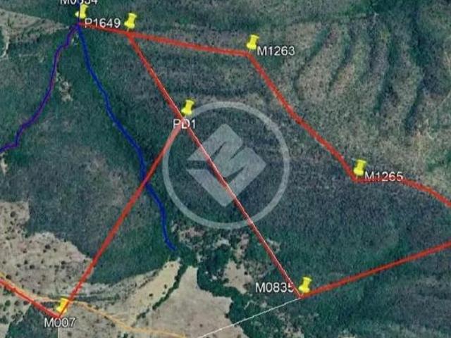 Sítio e chácara venda em Região Geográfica Imediata de Anápolis, Região Integrada de Desenvolvimento do Distrito Federal e Entorno