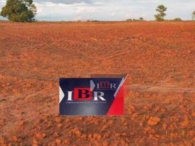 Sítio e chácara venda em Região Geográfica Imediata de Barra do Garças, Pontal do Araguaia