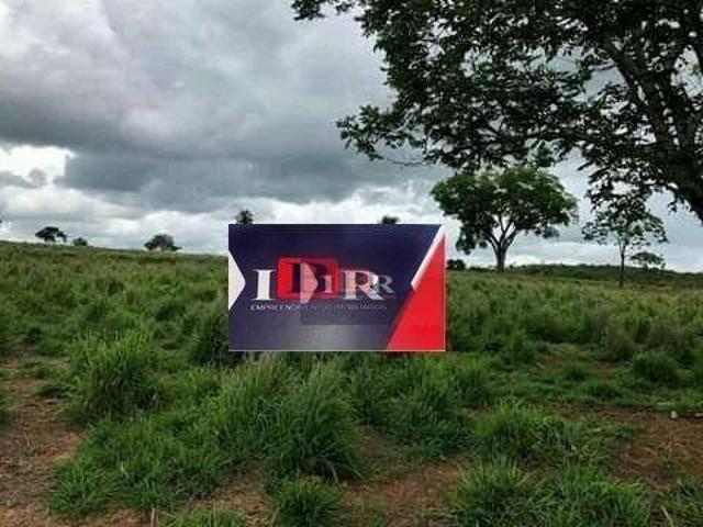 Sítio e chácara venda em Região Geográfica Imediata de Barra do Garças, Pontal do Araguaia