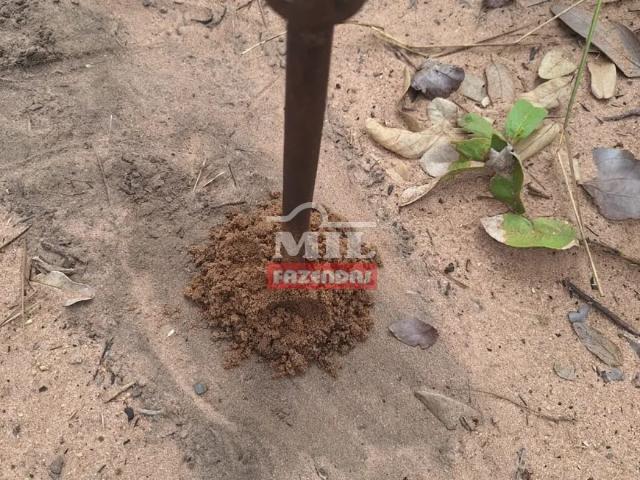 Fazenda venda em Região Geográfica Imediata de Porto Nacional, Ponte Alta do Tocantins