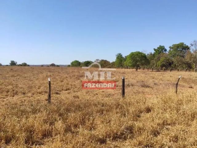 Fazenda venda em Região Geográfica Imediata de Porangatu, Porangatu