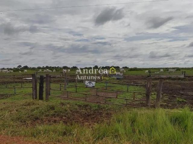 Sítio e chácara venda em Região Geográfica Imediata de Confresa - Vila Rica, Porto Alegre do Norte