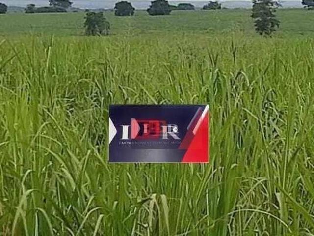 Sítio e chácara venda em Região Imediata de Presidente Prudente, Presidente Prudente
