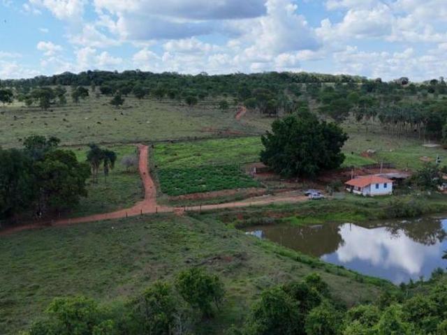 Sítio e chácara venda em Região Geográfica Imediata de Piracanjuba, Professor Jamil