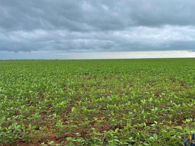 Sítio e chácara venda em Região Geográfica Imediata de Cuiabá, Região Metropolitana do Vale do Rio Cuiabá