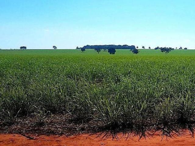 Sítio e chácara venda em Região Geográfica Imediata de Quirinópolis, Quirinópolis
