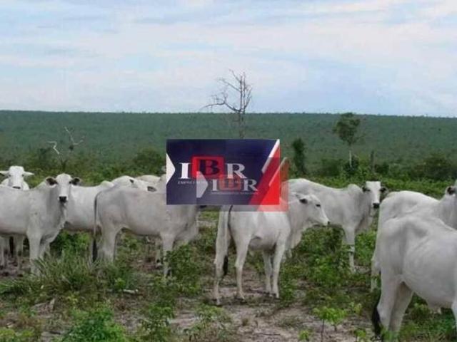 Sítio e chácara venda em Reserva do Cabacal, Mato Grosso