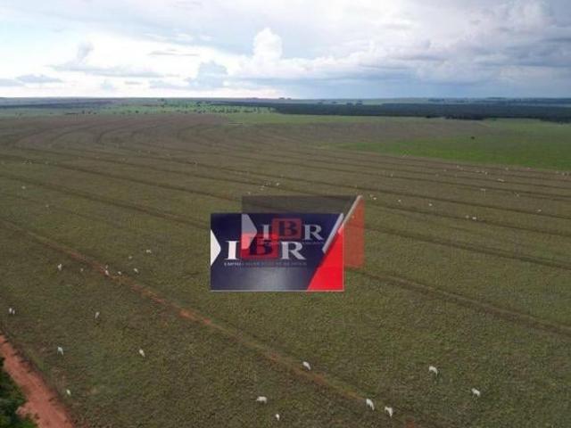 Sítio e chácara venda em Região Geográfica Imediata de Campo Grande, Ribas do Rio Pardo