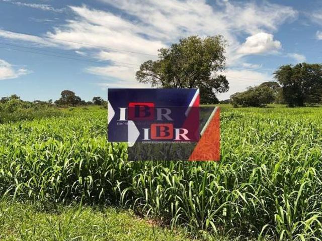 Sítio e chácara venda em Região Geográfica Imediata de Campo Grande, Ribas do Rio Pardo
