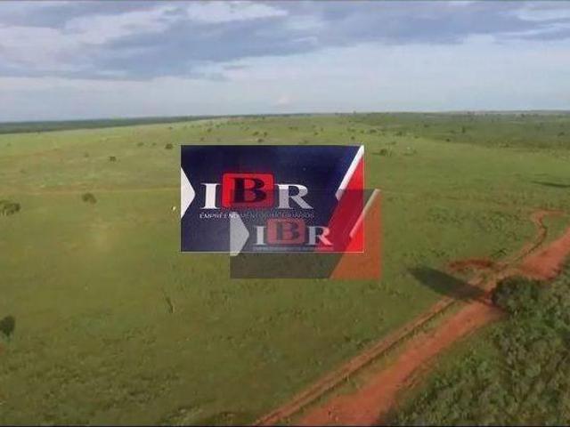 Sítio e chácara venda em Ribas do Rio Pardo