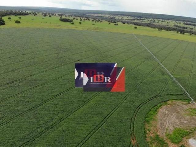 Sítio e chácara venda em Região Geográfica Imediata de Campo Grande, Ribas do Rio Pardo
