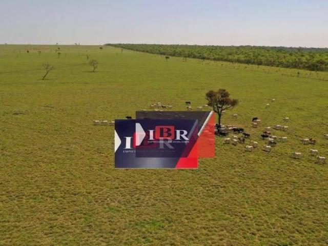 Sítio e chácara venda em Região Geográfica Imediata de Campo Grande, Ribas do Rio Pardo