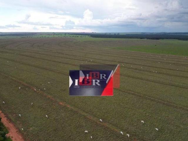Sítio e chácara venda em Região Geográfica Imediata de Campo Grande, Ribas do Rio Pardo