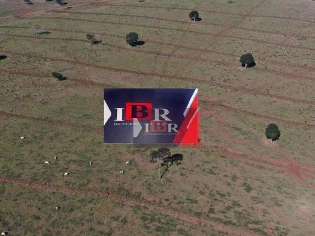 Sítio e chácara venda em Ribas do Rio Pardo