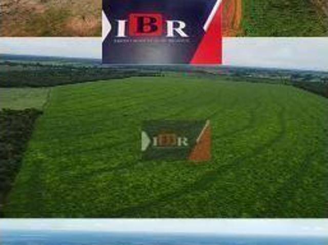 Sítio e chácara venda em Região Geográfica Imediata de Água Boa, Ribeirão Cascalheira