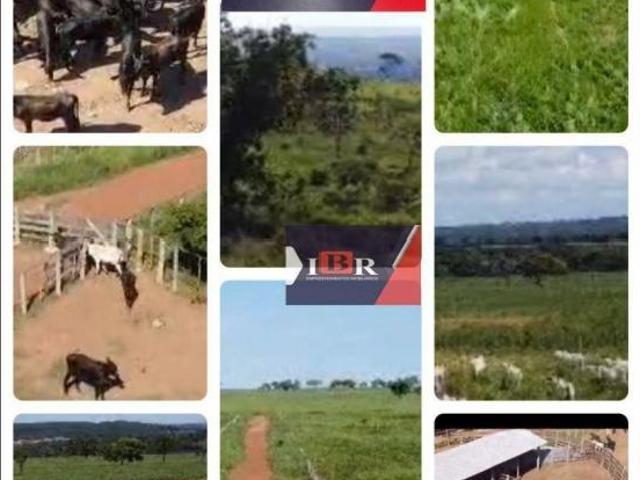 Sítio e chácara venda em Região Geográfica Imediata de Campo Grande, Rio Negro