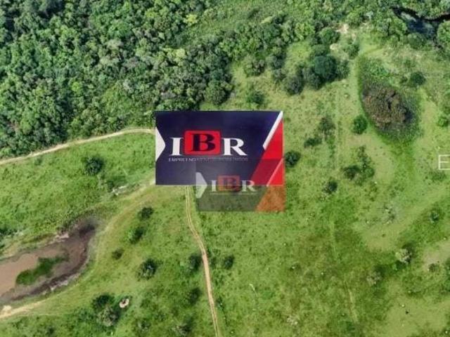 Sítio e chácara venda em Região Geográfica Imediata de Campo Grande, Rochedo