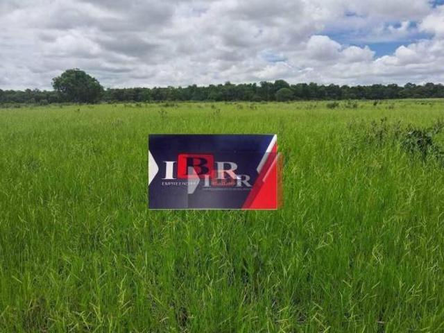Sítio e chácara venda em Região Geográfica Imediata de Campo Grande, Rochedo