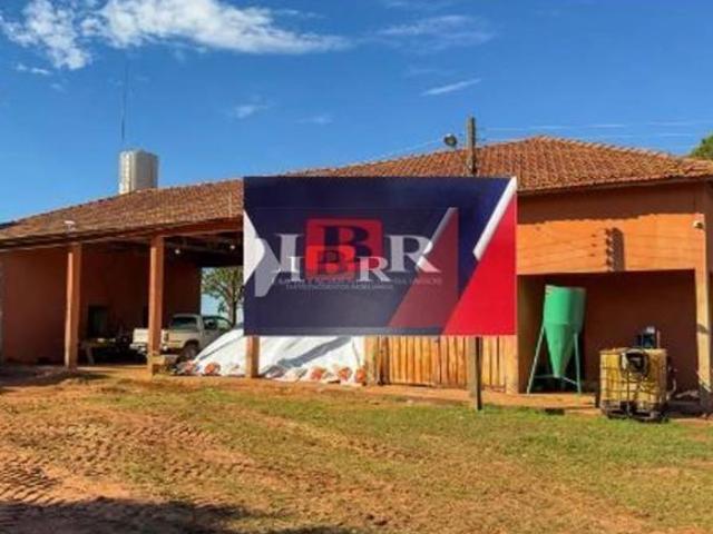 Sítio e chácara venda em Rosana