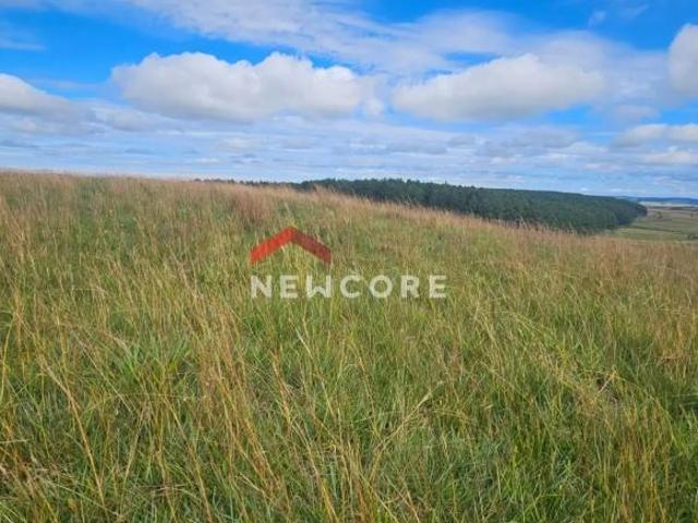 Sítio e chácara venda em Região Geográfica Imediata de Caxias do Sul, São Francisco de Paula