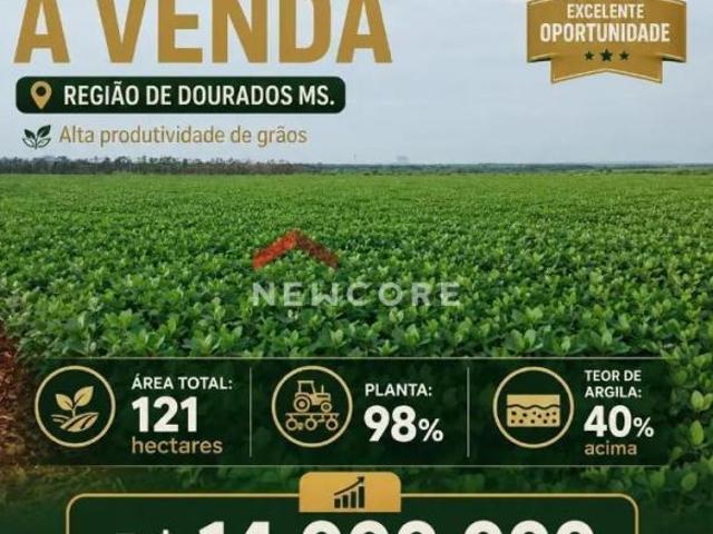 Sítio e chácara venda em Região Geográfica Imediata de Dourados, Dourados