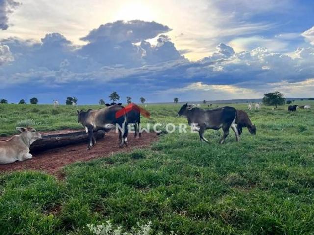 Sítio e chácara venda em Região Geográfica Imediata de Campo Grande, Campo Grande
