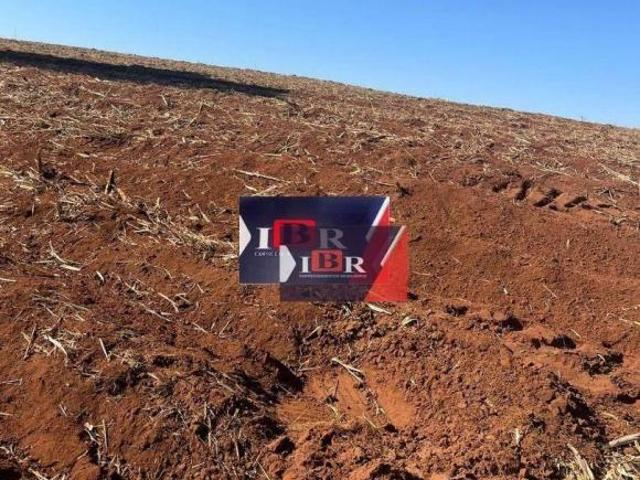 Sítio e chácara venda em Região Imediata de São Carlos, São Carlos