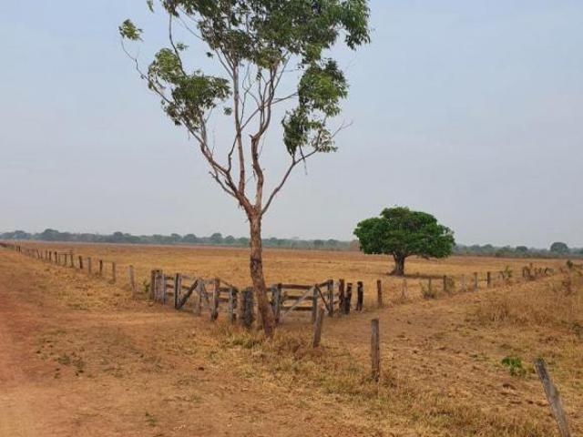 Sítio e chácara venda em Região Geográfica Imediata de Confresa - Vila Rica, São Felix do Araguaia